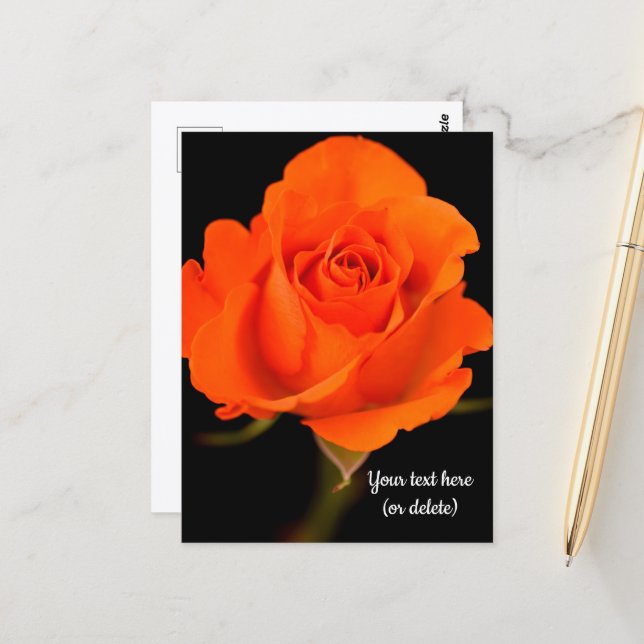 Cartão Postal de Rosa Laranja Única (Frente/Verso In Situ)