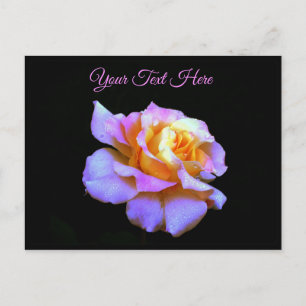 Cartão postal de rosa tingida de rosa *personaliza