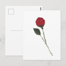 Cartão postal de Rosa Vermelha