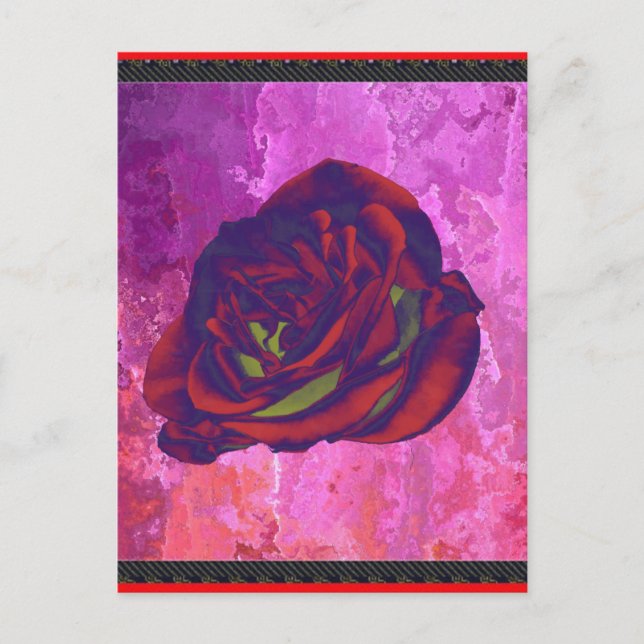 Cartão postal de rosa vermelha (Frente)