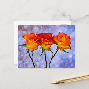 Cartão postal de rosas laranja e amarelas em uma f