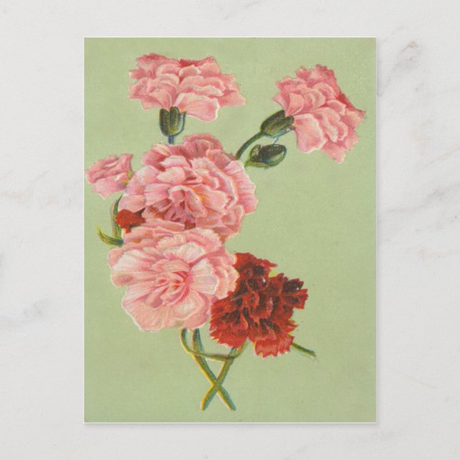 Cartão postal de rosas retrô vintage (Frente)
