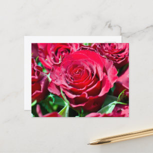 Cartão Postal de Rosas Vermelhas