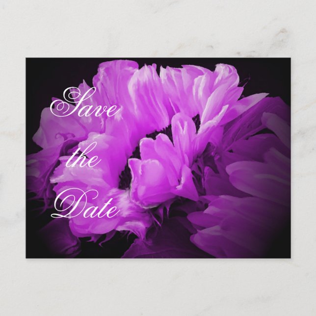 Cartão Postal de Salvamento do Girassol Mágico (Frente)