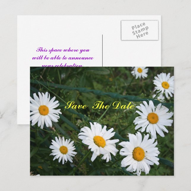 Cartão postal de Salve a Data do Círculo de Margar (Frente/Verso)