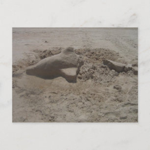 Cartão postal de Sandcastle de Golfinho Esmagado