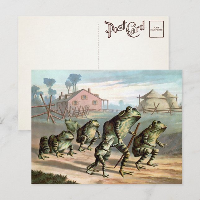 Cartão postal de Sapos Vintage (Frente/Verso)