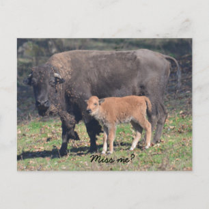 Cartão postal de saudades