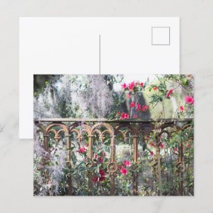 Cartão Postal de Savannah Laurel Grove