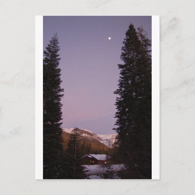 Cartão postal de Sequoia (Frente)