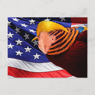 Cartão postal de sinalizador Ouro Trump Bird USA