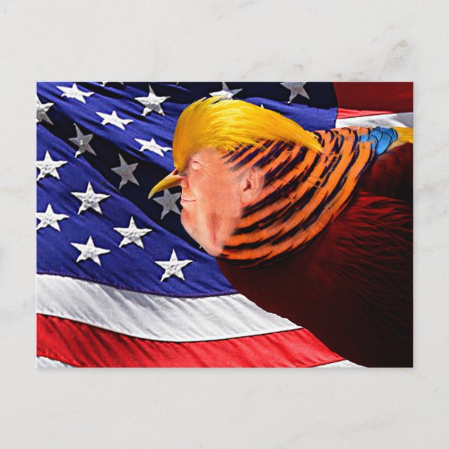Cartão postal de sinalizador Ouro Trump Bird USA (Frente)
