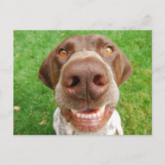 Cartão postal de sorriso SPG