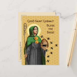 Cartão postal de Sta. Gobnait de Ballyvourney (SAE