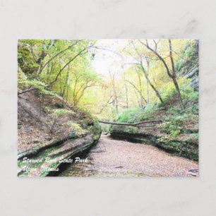 Cartão Postal de Starved Rock