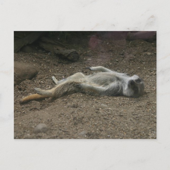 Cartão postal de sunbanho (Frente)