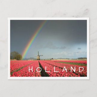 Cartão postal de texto Rainbow, tulipas e moinho d
