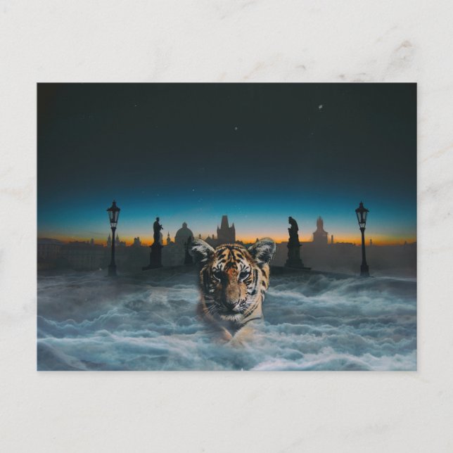 cartão postal de tigre (Frente)