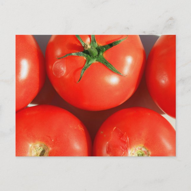 Cartão postal de tomate vermelho (Frente)