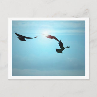 Cartão postal de três corvos