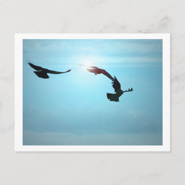 Cartão postal de três corvos (Frente)