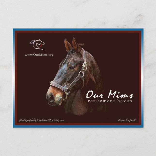 Cartão Postal de Tributo ao Nosso Mims (Frente)