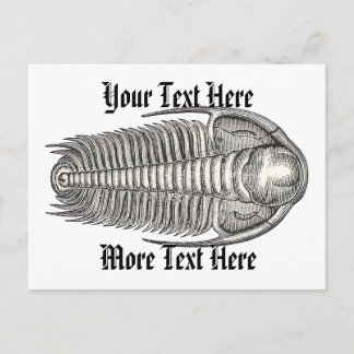 Cartão Postal de Trilobita Antiga