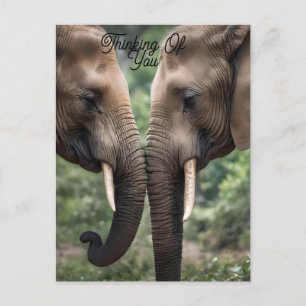 Cartão Postal "De Tronco a Tronco: Um Gentil Abraço de Elefante"
