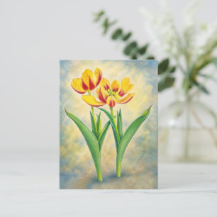 Cartão Postal de Tulipas Amarelas e Vermelhas