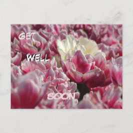 Cartão postal de tulipas brancas cor-de-rosa para