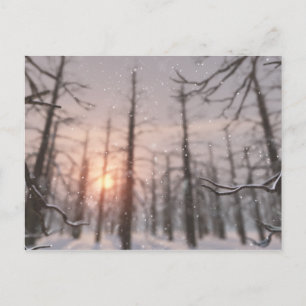 Cartão postal de um sonho de uma noite de inverno