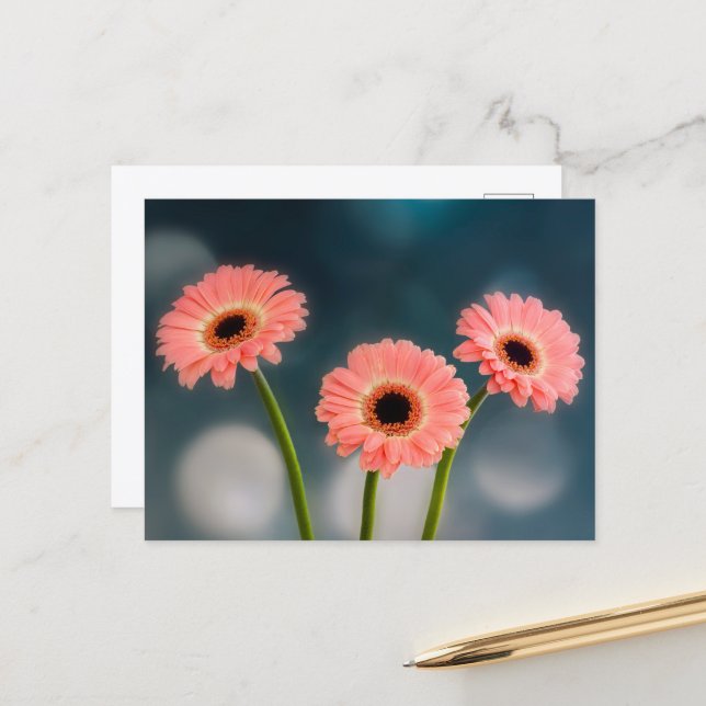 Cartão postal de um trio de Gerberas Rosa (Frente/Verso In Situ)