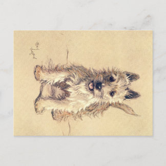 Cartão postal de uma dúzia de cães ou de Cecil Ald