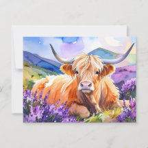 Cartão postal de Vaca para Highland Scottish Water