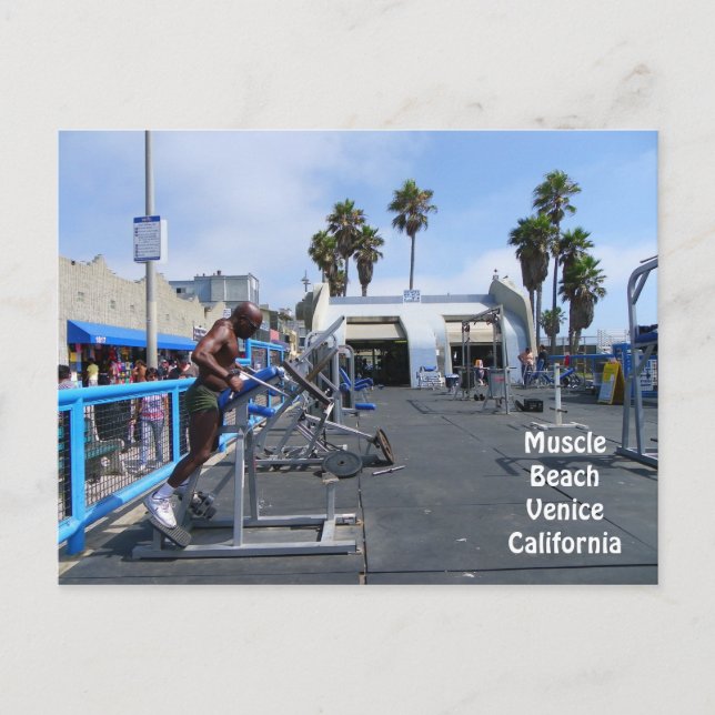 Cartão postal de Veneza Muscle Beach! (Frente)
