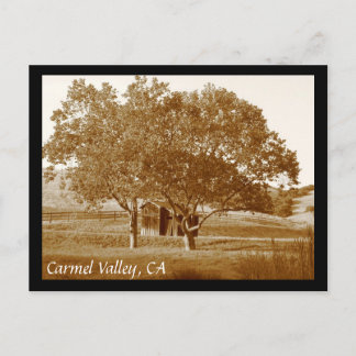 Cartão postal de verão CV