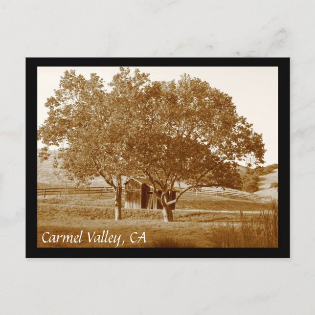 Cartão postal de verão CV (Frente)