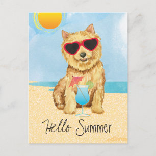 Cartão postal de verão do Norwich Terrier