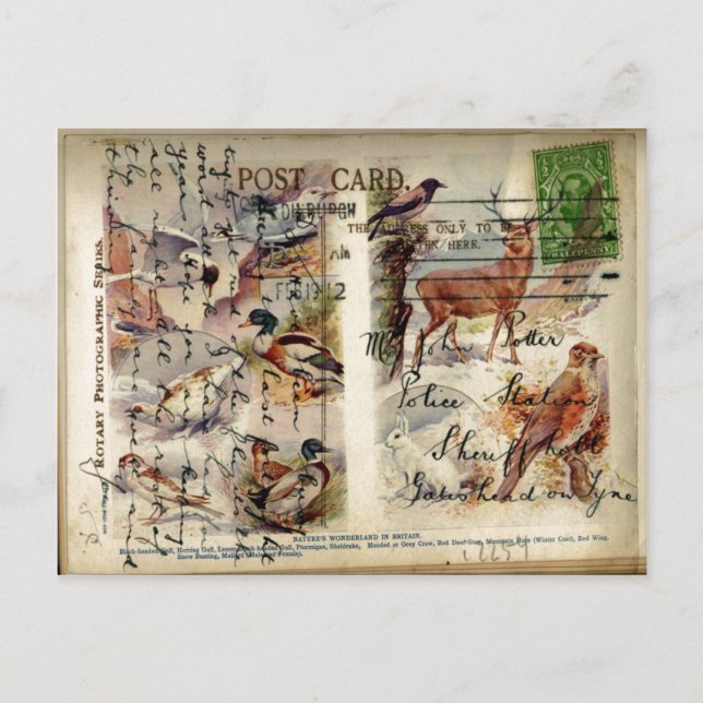 Cartão postal de Verão e Inverno (Frente)