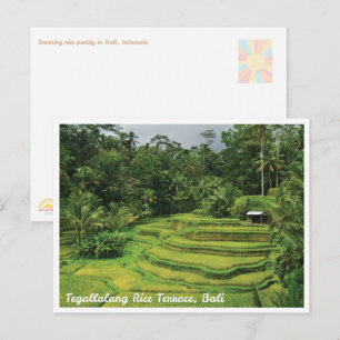 Cartão Postal de Viagem Cénico dos Terraços de Arr
