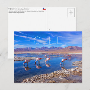Cartão postal de viagem da Laguna Chaxa, Atacama, 