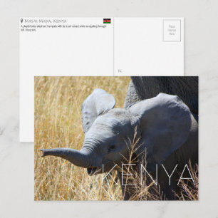 Cartão Postal de Viagem do Elefante Bebê em Masai 