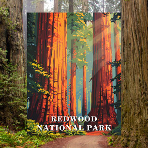 Cartão postal de viagem do Parque Nacional Redwood