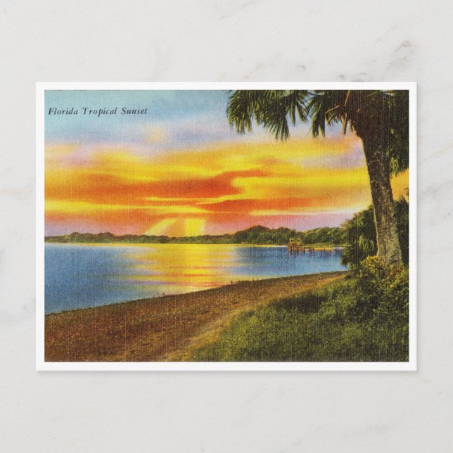 Cartão postal de viagem do pôr do sol tropical da  (Frente)