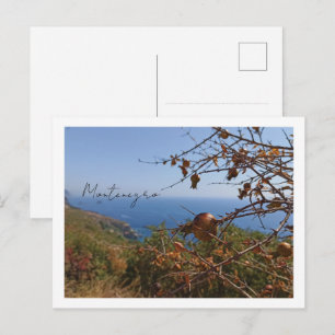 Cartão Postal de Viagem Fotográfica Montenegro