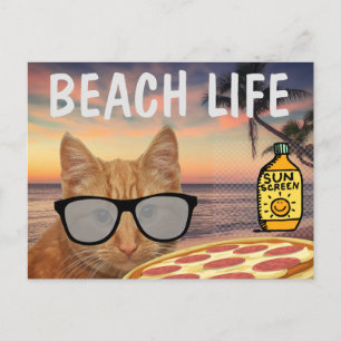 CARTÃO POSTAL DE VIDA DE UMA PRAIA DE GATO FUNNO