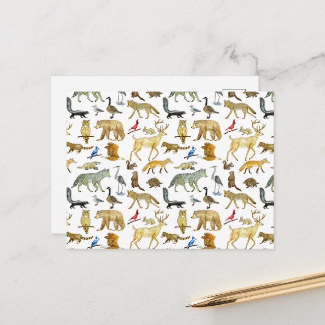 Cartão postal de vida selvagem dos Lagos excelente (Frente/Verso In Situ)