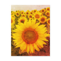 Cartão postal de Vintage Sunflower Rustic
