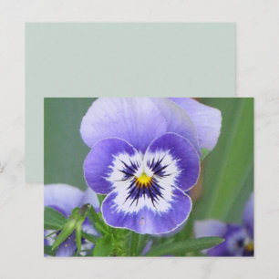 Cartão postal de Violeta Tricolor personalizável