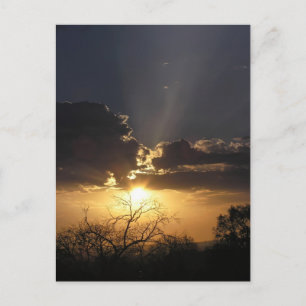 Cartão postal de vistas de arte viva